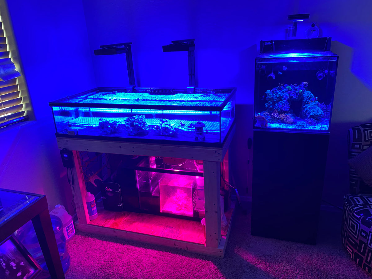 Lowboy aquarium fashion stand